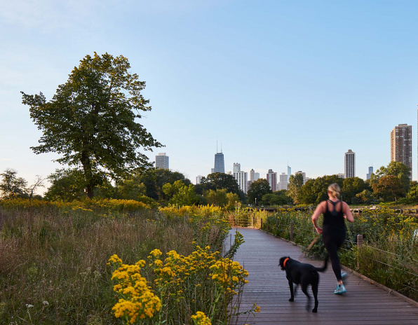 Nature Boardwalk at Lincoln Park Zoo: Park Landscape with Skyline