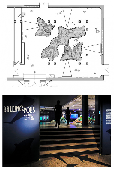 Baleinopolis Exhibition entrance and floor plan drawing, designed by Studio Gang